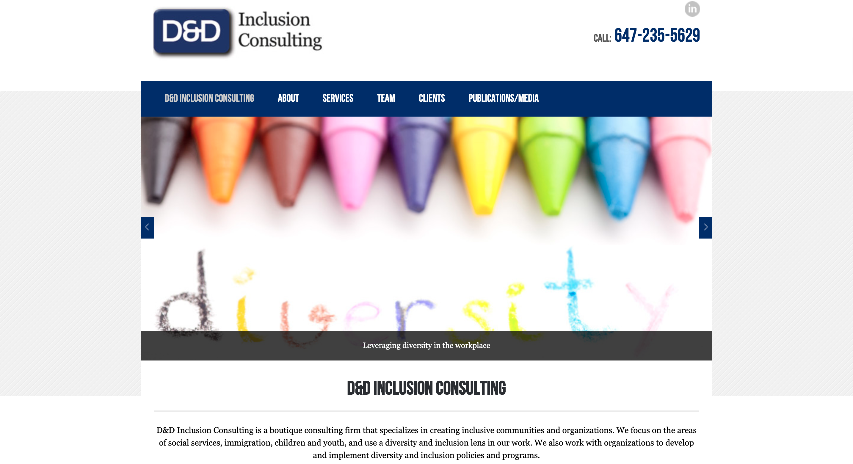 D&D Inclusion Consulting